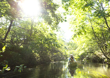 Woman paddling a boat carry tourist in the flooded forest photo