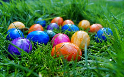 Spring in the grass easter eggs photo