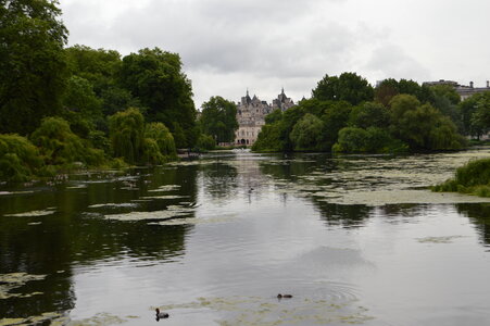 Buckingham Gardens