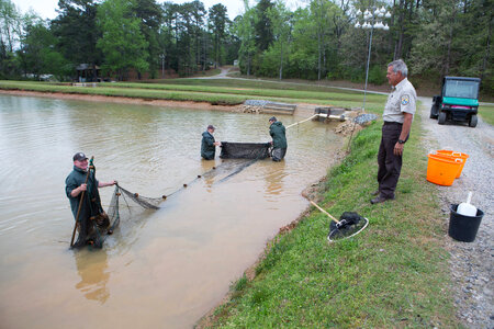 Hatchery staff checking for channel catfish-1 photo