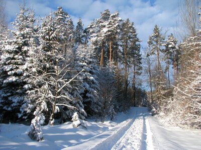 Snow lane trace winter photo