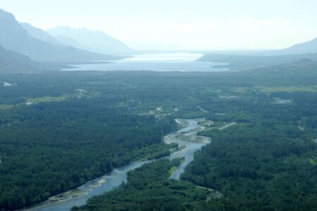 Greenery river 