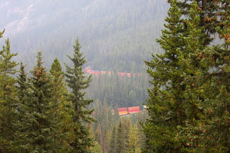 Freight train moving along Bow river in Canadian Rockies photo