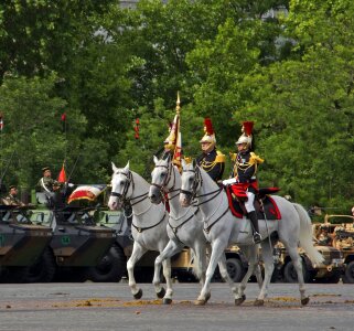 The royal horse guards photo