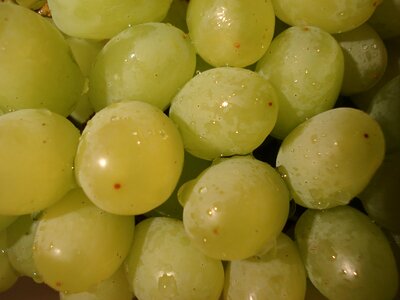 Fruit green healthy