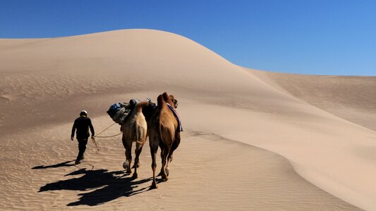 Dune desert sand photo