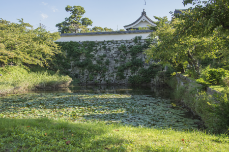 4 Fukuoka castle