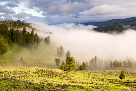 Fog in the Yellowstone Valley