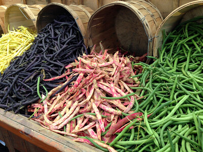 Different Colored String beans photo