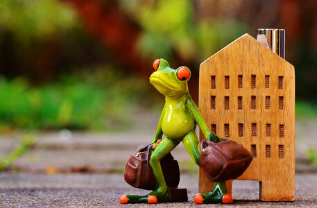 Frog luggage figure photo