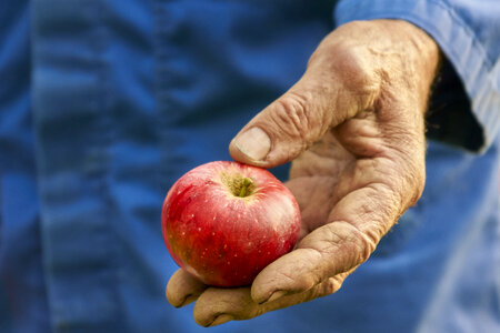 Elderly Hand photo