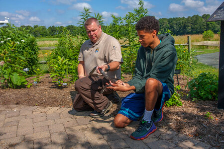 FWS staff with young boy handling black rat snake photo