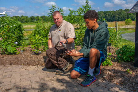 FWS staff with young boy handling black rat snake