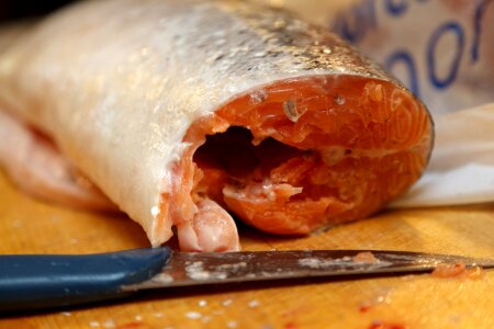 Food fish salmon photo