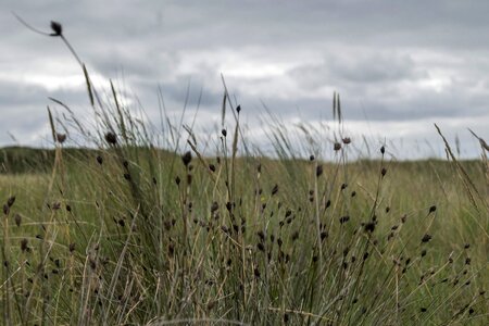 Agriculture farm field