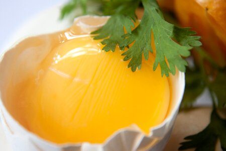Breakfast cooking delicious
