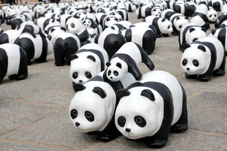 Panda Bear Herd toys photo