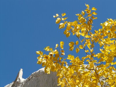 Rock autumn colorful