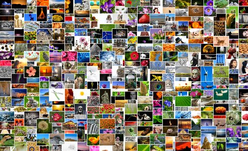 Photo album mosaic collage