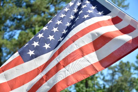 Flag american flag tree photo