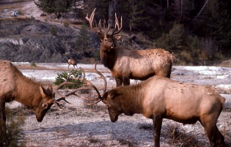 Nature outdoors wilderness photo