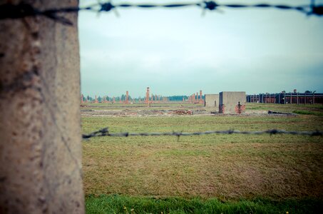 Barbwire fence concentration