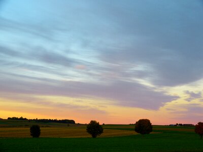 Sky evening sky trees