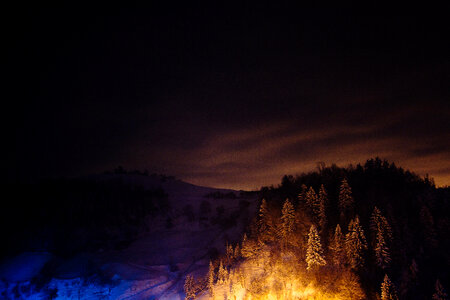 Winter Lights photo