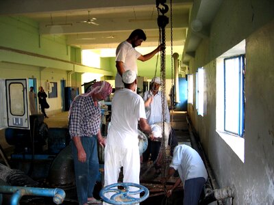 Plant processing repair