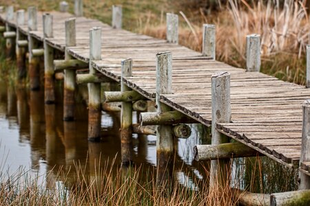 Bridge walk walkway