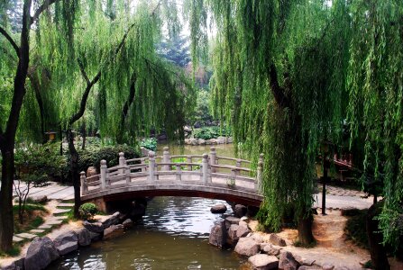 Chinese asian garden