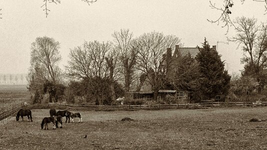 Agriculture barn bench photo