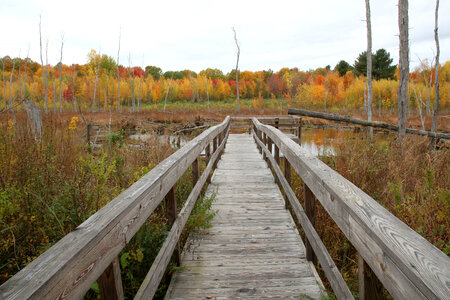 Walkway into Stephen Young Marsh