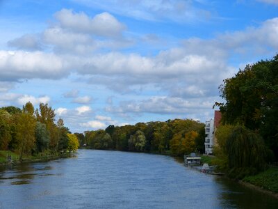 Water ulm autumn
