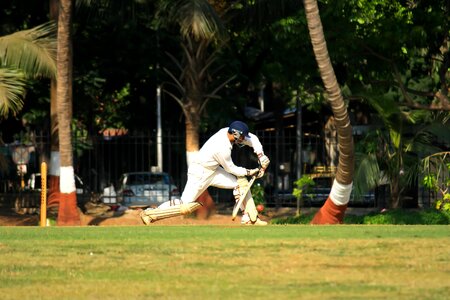 Activity field game