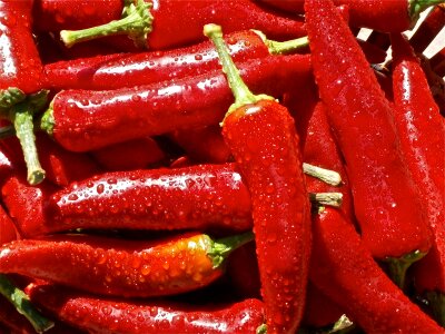 many hot red chili peppers on market stall