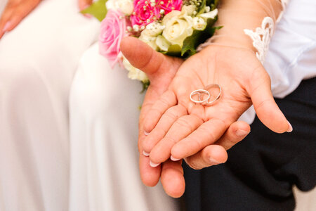 Bride and groom’s hands with wedding rings photo