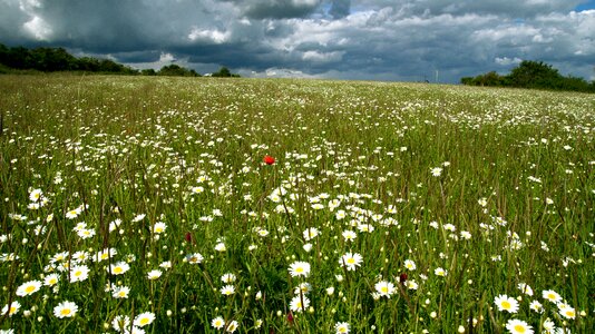 Clouds idyll rest photo