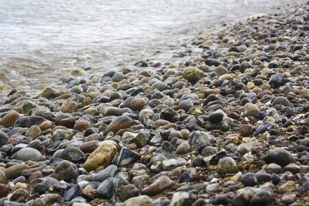 Sea wet coast