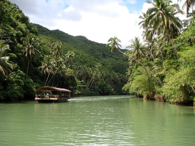 River boat palm trees photo