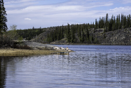 People Sunbathing on the Shore on Prelude Lake, Ingraham Trail