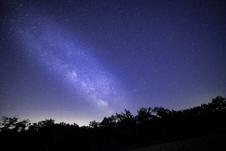 Bright Galaxy Above the Trees photo