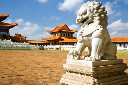 Africa animal architecture