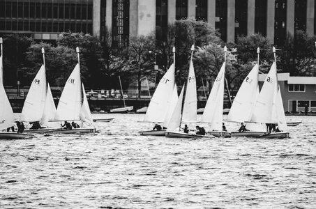 Black And White boat boat racing photo