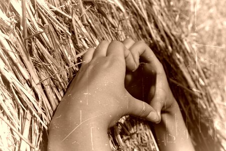 Love heart hay