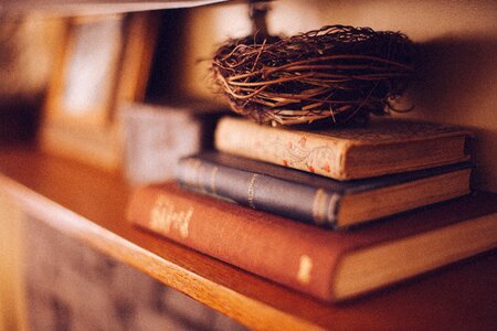 Bird's nest decoration reading