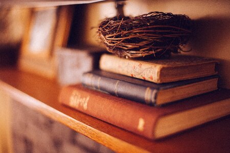 Bird's nest decoration reading photo