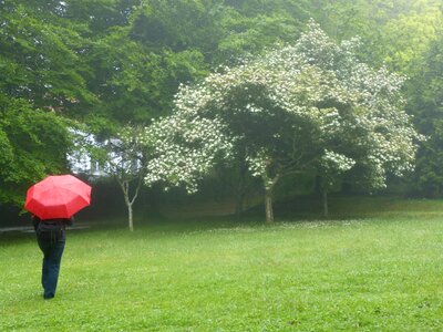 Woman stand in the rain screen photo