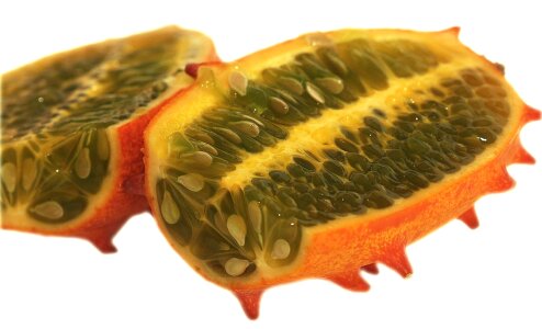 Fruit horn melon cucumis metuliferus