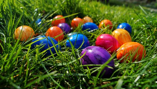 In the grass easter eggs the tradition of photo